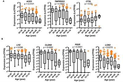 Public Database-Driven Insights Into Aging Stress-Associated Defective Gut Barrier With Low SARS-CoV-2 Receptors